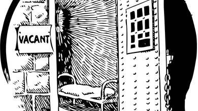 hibiscrub