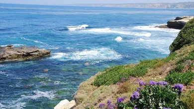 Things to Do in La Jolla