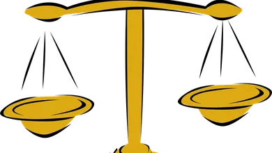 Justice Vincent Lerisson GLP