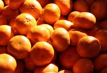 Peúgo
