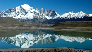 Argentine Facturas