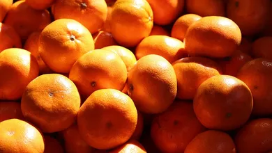 Peúgo