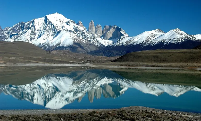Argentine Facturas