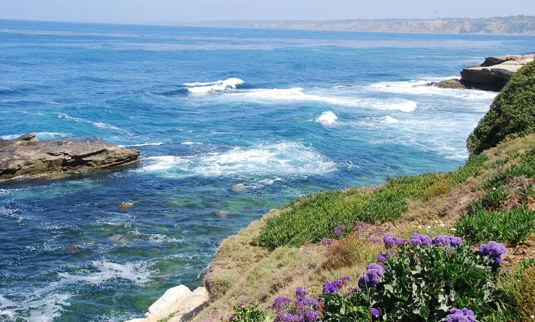 Things to Do in La Jolla