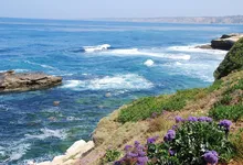 Things to Do in La Jolla