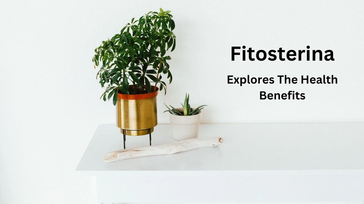 fitosterina