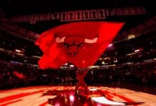 chicago bulls