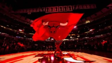 chicago bulls