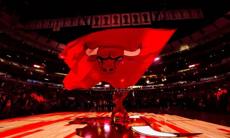 chicago bulls