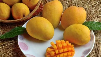 Alphonso Mango