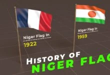 niger flag