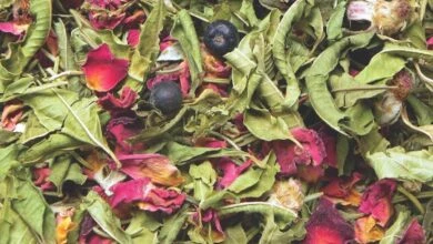 potpourri
