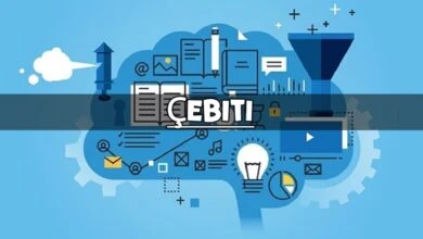 Çebiti