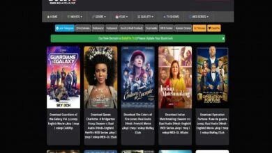 bollyflix