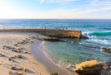 Things to Do in La Jolla