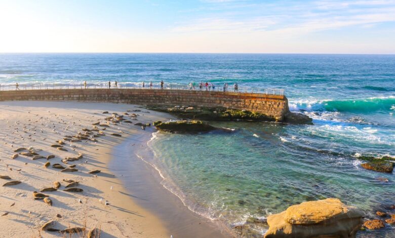 Things to Do in La Jolla